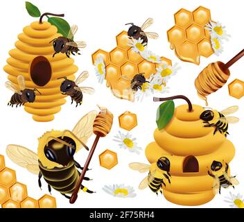 Honey bee, honeycomb, beehive, honey dipper, beeswax, Chamomile flower on white background. 3d Vector illustration. Stock Vector