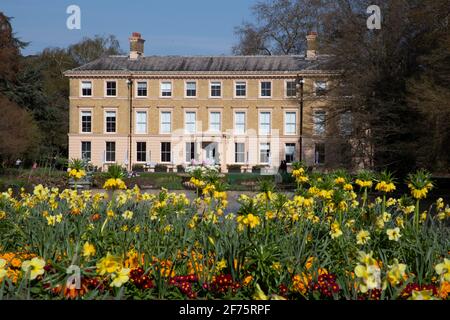 Spring flower beds in Kew gardens with the General Museum or 'Museum No. 1' and Botanist restaurant West London, England UK Stock Photo