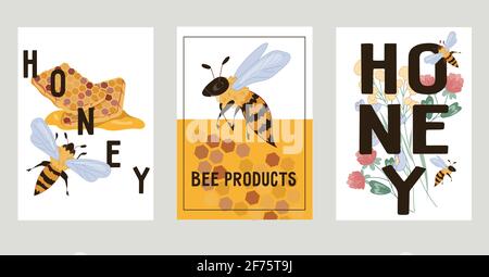 Honey and natural bee products banners or cards set, flat vector illustration. Honey producing, beekeeping and apiary farm products labels or posters. Stock Vector
