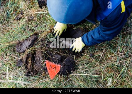 A man in a special suit works with a detector and found an explosive device. Stock Photo