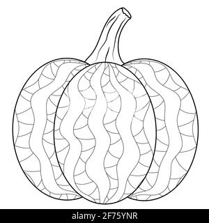 Outlined pumpkin coloring book page in autumn mood Stock Vector
