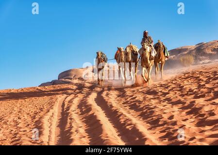 Wadi Rum, Jordan - April 05, 2015: A bedouin leads a group of camel and riding one of them in the wadi rum desert Stock Photo