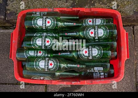 Glass recycling box full of empty Heineken bottles in the New Town, Edinburgh, Scotland, UK. Stock Photo