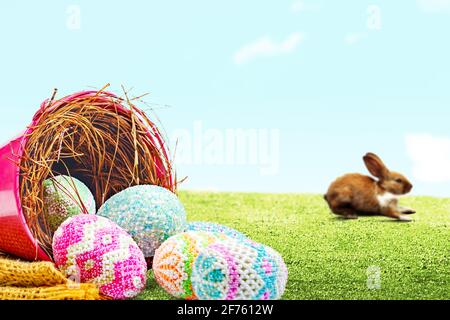 Cute easter bunny and colorful easter eggs spilled from the nest in a red bucket with fabric on the field. Happy Easter Stock Photo