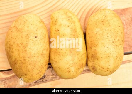 Three raw organic, ripe, juicy, potatoes, macro, on a background of natural wood. Stock Photo