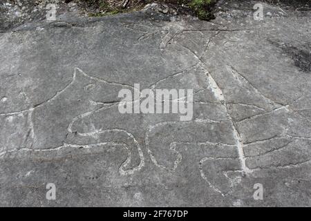 Wolf Chasing Stag - Rock Carving on Bidston Hill, Wirral, UK Stock Photo