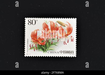 CHINA - CIRCA 2003: A stamps printed in China shows  Lily flower Lilium distichum,  circa 2003. Stock Photo