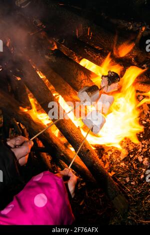 Two hands Roasting marshmallows over the fire. Close up view Stock Photo