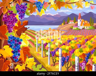 Rural landscape with vineyard, grapes bunches, fields and sea. Autumn rural landscape. Stock Vector