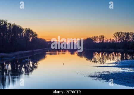 Nationalpark Donauauen, Danube-Auen National Park: oxbow lake Kühwörther Wasser in Donau, Niederösterreich, Lower Austria, Austria Stock Photo