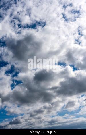 Cloudscape background texture of  white fluffy cumulus clouds with a blue sky Stock Photo