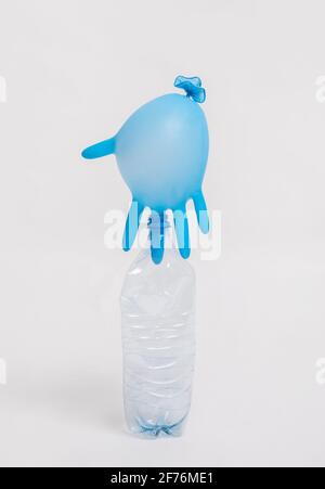 Inflated Blue Rubber Medical Glove Stuck In Empty Plastic Bottle Stock Photo