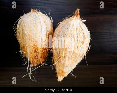 top view of fresh coconuts isolated on wooden background Stock Photo