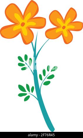 Yellow Flower Buds Vector Illustration isolated in white background Stock Vector