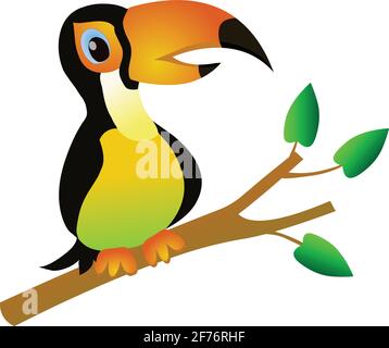 Toucan parrot on branch stock illustration vector isolated in white background Stock Vector