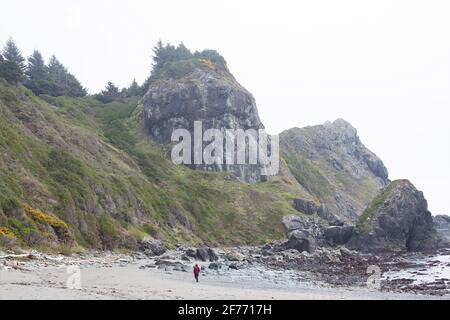 A man walking alone at Lone Ranch Beach in Brookings, Oregon. Stock Photo