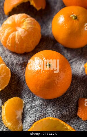 Raw Orange Organic Clementine Fruit Ready to Eat Stock Photo