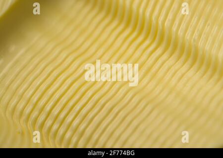 Wavy ripple pattern in butter created by a serrated butter knife. Full frame abstract food texture background, taken as a super macro close up. Stock Photo