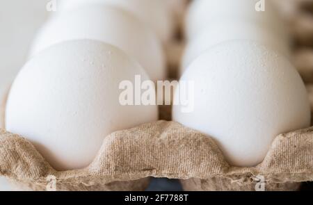 Side View of White Eggs in Carton Stock Photo