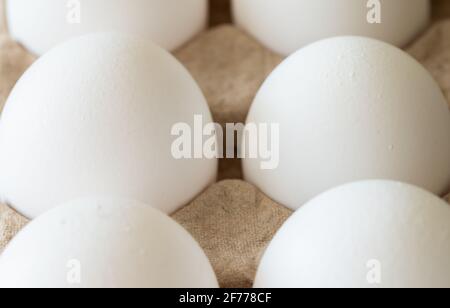 White Eggs in Cardboard Carton Stock Photo
