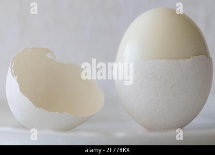 Hardboiled Egg with Shell on White Background Stock Photo