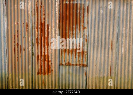 April 2021 - Somerset, UK. Stock Photo