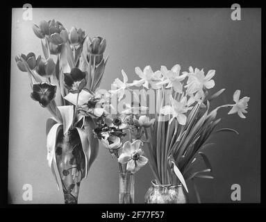 Skiopticon image from the Department of Photography at the Royal Institute of Technology. Still life. Flowers in vase. Stock Photo