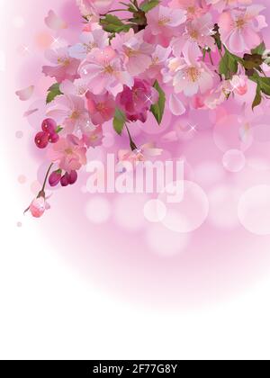 Vector vertical background with sakura tree flowers branch Stock Vector