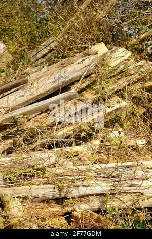 April 2021 - Old wood for use in a texture. Somerset, UK. Stock Photo