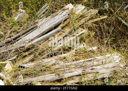 April 2021 - Old wood for use in a texture. Somerset, UK. Stock Photo