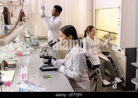 Young Asian woman looking through the microscope sitting at the table with her colleagues working in the background Stock Photo