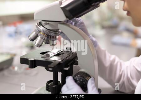 Close-up of female scientist examining samples through the microscope in the laboratory Stock Photo