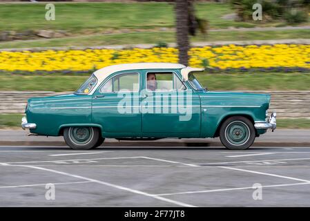 Ford Consul classic car driving on Western Esplanade in Southend on Sea, Essex, UK. Driving passed the bright coloured flowers on Cliff Gardens Stock Photo