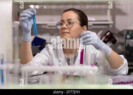 Young scientist in eyeglasses examining liquid in test tubes while working at the table Stock Photo