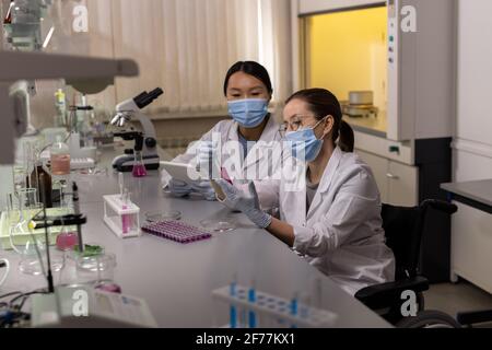 Young woman in mask examining liquid in test tube with her colleague sitting near by and using digital tablet they working together in the lab Stock Photo