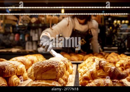 France, Paris, Bakery House Marques, pastries Stock Photo