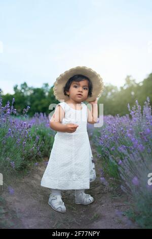 Adorable female kid posing wearing straw hat in blooming aromatic lavender field. Little attractive baby girl wearing lovely white dress and looking at camera, enjoying time outdoors. Stock Photo