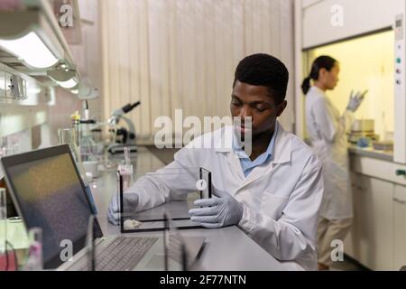 African young man sitting at the table with mouse in box during scientific experiment in the laboratory Stock Photo
