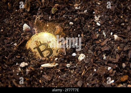 Close up shot of a golden bitcoin unearthed. Metaphor of mining BTC and cryptocurrencies. Digital business and decentralized finances concept Stock Photo