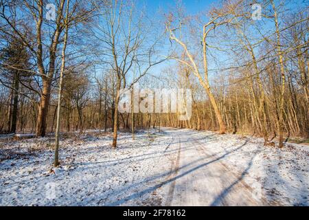 France, Paris, the Bois de Vincennes under snow and ice Stock Photo