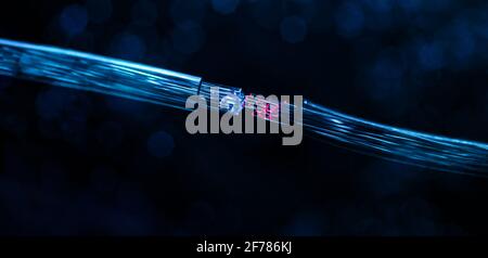 two fiber optic cables connecting Stock Photo