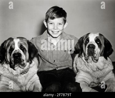 1940s 1950s SMILING BOY SITTING LOOKING AT CAMERA WITH TWO ST. BERNARD DOGS  - d2272 HAR001 HARS HOME LIFE FRIENDSHIP HALF-LENGTH CARING CUTOUT MALES PETS B&W EYE CONTACT WIDE ANGLE HAPPINESS MAMMALS HEAD AND SHOULDERS CHEERFUL STRENGTH CANINES POWERFUL PRIDE SMILES POOCH CONNECTION BERNARD CONCEPTUAL BREED JOYFUL ST. CANINE JUVENILES MAMMAL PRE-TEEN PRE-TEEN BOY BLACK AND WHITE CAUCASIAN ETHNICITY GENTLE HAR001 OLD FASHIONED Stock Photo