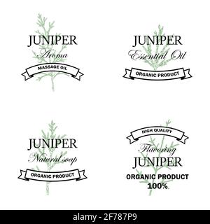 Juniper natural products logo set with hand drawn element isolated on white background. Vector illustration in vintage style Stock Vector