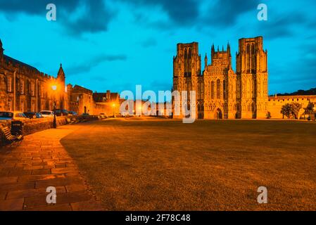 Wells Cathedral in Somerset England with orange lights illuminating the western front of the early English gothic structure and the green in front Stock Photo