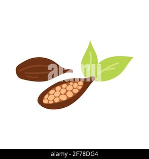 Cocoa beans illustration. Engraved style illustration. Chocolate cocoa beans. Vector illustration. Stock Vector