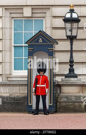 Sentry of the Grenadier Guard outside Buckingham Palace in  London England United Kingdom UK Stock Photo