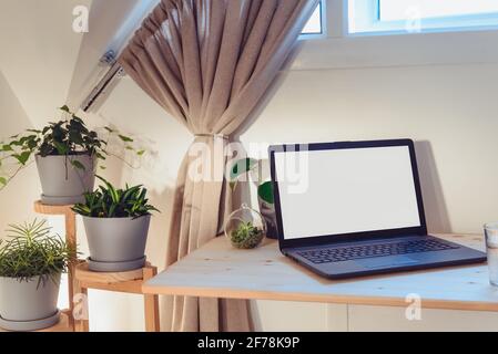 Modern workplace - wooden desk with laptop mockup white empty screen and wooden stand with green plants at work space in home office room interior in Stock Photo