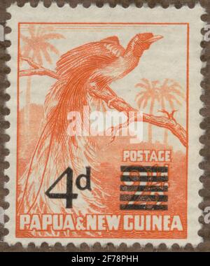 Stamp of Gösta Bodman's Philatelist Association, commenced in 1950.The stamp from Papua and New Guinea, 1957. Motifs of paradise feathers for ornamental springs. Stock Photo