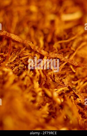 Rolling tobacco leaves close up modern background stock photography high quality prints Stock Photo