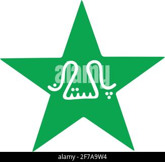 Pakistan cricket board sign icon vector Stock Vector